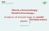Dendrochronology – Analysis of annual rings in woody plants herbaceous! Herb-chronology Georg von Arx.