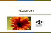 Glaucoma The Canadian Association of Optometrists.