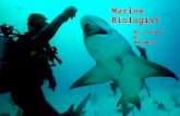 Marine Biologist By: Skyler H. 04/20/11. Marine biologist to most means taking pictures of dolphins and other fish. But really it is managing wildlife.