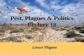 Pest, Plagues & Politics Lecture 18 Locust Plagues.