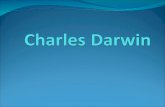 Timeline of Darwin’s life Born 1809 Study (Edinburgh and Cambridge) 1825-1831 Voyage of the Beagle 1831-1836 Retired to Down 1842 The Origin of Species.