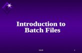 Ch 101 Introduction to Batch Files. Ch 102 Overview Will learn to create batch files to automate a sequence of commands to accomplish various tasks.