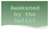 Welcome To Day Four (Move on when ready.) A time of Being awakened by The Spirit of Love (Move on when ready.)