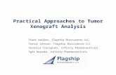 Practical Approaches to Tumor Xenograft Analysis Frank Voelker, Flagship Biosciences LLC Trevor Johnson, Flagship Biosciences LLC Veronica Traviglone,