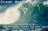 Ocean Waves Essential Question: How are waves formed and what are the characteristics of waves?
