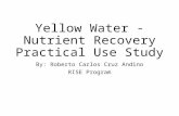Yellow Water - Nutrient Recovery Practical Use Study By: Roberto Carlos Cruz Andino RISE Program.