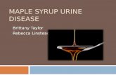 MAPLE SYRUP URINE DISEASE Brittany Taylor Rebecca Linstead.