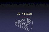 3D Vision. 3D Perception: Illusions Block & Yuker.