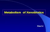 Metabolism of Xenobiotics Xiao Li. ※ ※ Xenobiotics: is a compound that is foreign to the body ; is a chemical which is found in an organism but which.