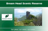 Bream Head Scenic Reserve Our place, our vision, our action.