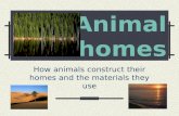 Animal homes How animals construct their homes and the materials they use.
