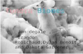 Jon degale, Brandon Robichaud,Dylan Benoit, and Dakota Gardener.