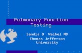 Pulmonary Function Testing Sandra B. Weibel MD Thomas Jefferson University.