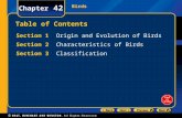 Birds Chapter 42 Table of Contents Section 1 Origin and Evolution of Birds Section 2 Characteristics of Birds Section 3 Classification.