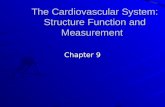 The Cardiovascular System: Structure Function and Measurement Chapter 9.