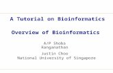 Overview of Bioinformatics A/P Shoba Ranganathan Justin Choo National University of Singapore A Tutorial on Bioinformatics.