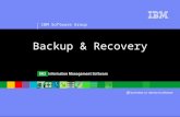 IBM Software Group ® Backup & Recovery. IBM Software Group | DB2 Information Management Software Agenda  Backup Types  Backup Process Model  Backup.