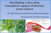Developing a dye using Caesalpinia sappan (Pathangi) wood extract 1 BT 3064 (Experimental Plant Biotechnology) Department of Plant Sciences.
