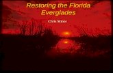 Restoring the Florida Everglades Chris Minor. Introduction to the Watershed.