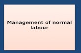 Management of normal labour. Definition -Normal labour can be defined as The spontaneous delivery of a single living term fetus with vertex, occipito-anterior.