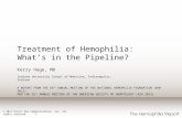 © 2014 Direct One Communications, Inc. All rights reserved. 1 Treatment of Hemophilia: What’s in the Pipeline? Kerry Hege, MD Indiana University School.