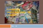 FINANCIAL INSTITUTIONS IN CANADA MEL 3E.  There are 3 types of financial institutions available for Canadians:  Banks  Trust Companies  Credit Unions.