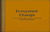 Ecological Succession  Progressive change in species composition, ecosystem function and structure following a disturbance  Minor changes in structure.