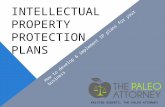 INTELLECTUAL PROPERTY PROTECTION PLANS KRISTEN ROBERTS, THE PALEO ATTORNEY How to develop & implement IP plans for your business.