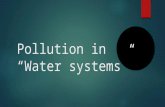 Pollution in “Water systems”. Overview  What can be done to help prevent water pollution?  What is causing water pollution?  Why should we care?