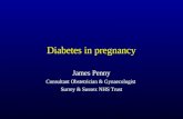 Diabetes in pregnancy James Penny Consultant Obstetrician & Gynaecologist Surrey & Sussex NHS Trust.