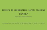 EXPERTS IN AERONAUTICAL SAFETY TRAINING Presented at ICAO GLOBAL AVIATION MEETING in 2014, 3-4 April.