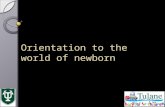 Orientation to the world of newborn. Topics covered The NICU ◦ where to go ◦ what to do Delivery room set up Review of neonatal resuscitation.
