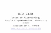 BIO 2420 Intro to Microbiology Sample Comprehensive Laboratory exam Created by R. Rohde .