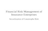 Financial Risk Management of Insurance Enterprises Securitization of Catastrophe Risk.
