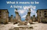 Challenge Romans 12:1 I appeal to you therefore, brothers, by the mercies of God, to present your bodies as a living sacrifice, holy and acceptable to.