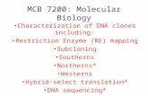 MCB 7200: Molecular Biology Characterization of DNA clones including: Restriction Enzyme (RE) mapping Subcloning Southerns Northerns* Westerns Hybrid-select.