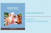 HUN 3403 Wk2 D1b Chapter 6 Nutrition During Lactation.
