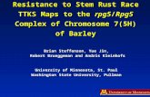 Resistance to Stem Rust Race TTKS Maps to the rpg5/Rpg5 Complex of Chromosome 7(5H) of Barley Brian Steffenson, Yue Jin, Robert Brueggeman and Andris Kleinhofs.