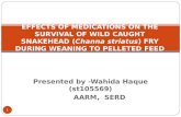 Presented by -Wahida Haque (st105569) AARM, SERD 1 EFFECTS OF MEDICATIONS ON THE SURVIVAL OF WILD CAUGHT SNAKEHEAD (Channa striatus) FRY DURING WEANING.