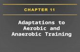 Adaptations to Aerobic and Anaerobic Training. Adaptations to Aerobic Training: Cardiorespiratory Endurance Cardiorespiratory endurance –Ability to sustain.