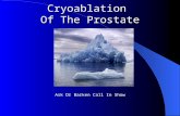 Cryoablation Of The Prostate Ask Dr Barken Call In Show.
