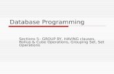 Database Programming Sections 5– GROUP BY, HAVING clauses, Rollup & Cube Operations, Grouping Set, Set Operations.