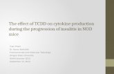 The effect of TCDD on cytokine production during the progression of insulitis in NOD mice Tuan Pham Dr. Nancy Kerkvliet Environmental and Molecular Toxicology.