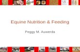 Equine Nutrition & Feeding Peggy M. Auwerda. Time-Budgets Feral Horses Select highest fiber, lowest protein content 70% of its day foraging Stabled Horses.