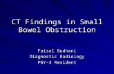 CT Findings in Small Bowel Obstruction Faisal Budhani Diagnostic Radiology PGY-3 Resident.
