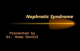 Nephrotic Syndrome Presented by Dr. Huma Daniel. Characteristic Features Heavy proteinuria > 40mg/m2/hr Hypoalbuminemia 250mg/dl.
