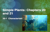 Simple Plants: Chapters 20 and 21 Simple Plants: Chapters 20 and 21 20-1 Characteristics of Algae.
