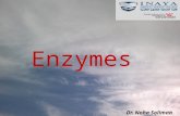 Enzymes Dr. Noha Soliman. Enzyme Regulation 1.Feedback control: Regulation process where the product of a series of enzyme-catalyzed reactions inhibits.