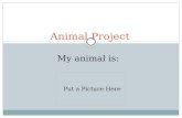 Animal Project My animal is: Put a Picture Here. Which animal group is your animal in, and what is it’s scientific name?