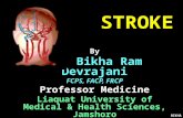 BIKHA STROKE By Dr. Bikha Ram Devrajani FCPS, FACP, FRCP Professor Medicine Liaquat University of Medical & Health Sciences, Jamshoro.
